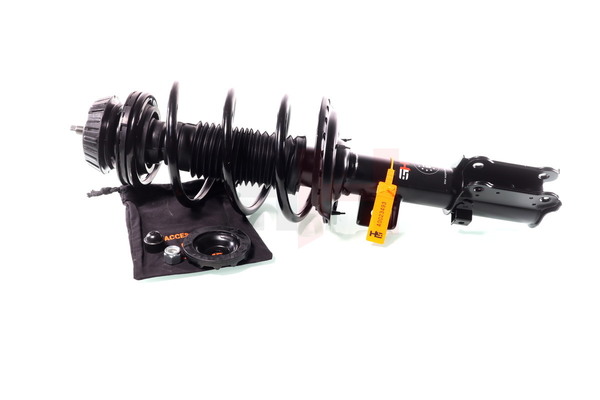 GH-353420C01 GH 5462707000 Federbein
