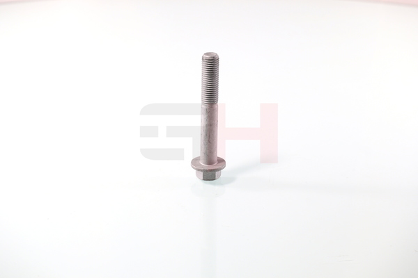 GH GH-391549 schroef, aseind 33326760346