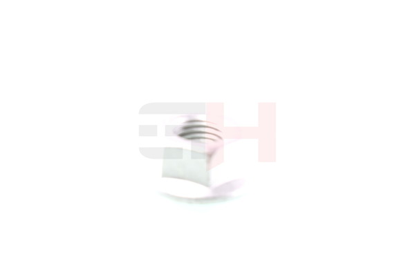 GH GH-393373 wielnaafmoer N 913023 014003