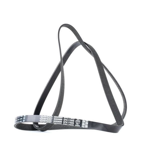 DAYCO 5PK1750 Keilrippenriemen Renault Scenic 1 2.0 16V (JA1B, JA1D, JA0C) 139 PS Benzin 2000