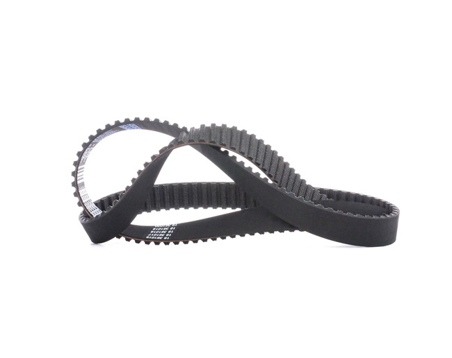DAYCO 71719649 Zobati jermen 94674
