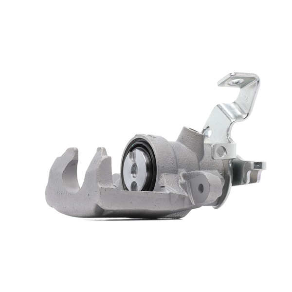 RIDEX PLUS 78B0017P Kvalitet & fair priser