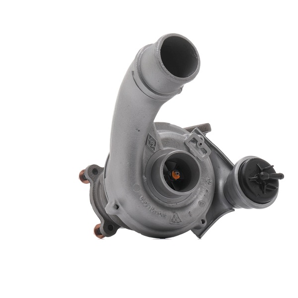 RIDEX REMAN 2234C10748R Turbina Renault Scenic 1 1.9 dCi RX4 102 CV Diesel 2003