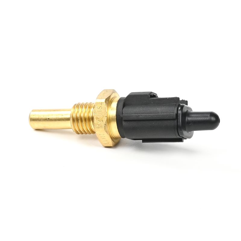 DELPHI TS10463 temperatuursensor MD 770573