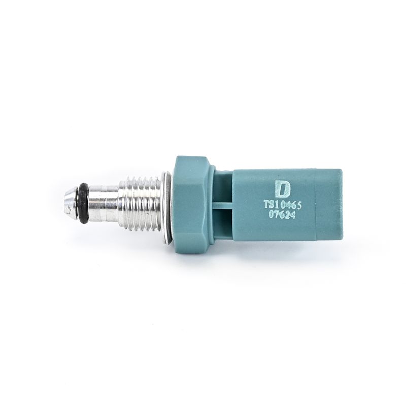 DELPHI TS10465 temperatuursensor 1 452 490