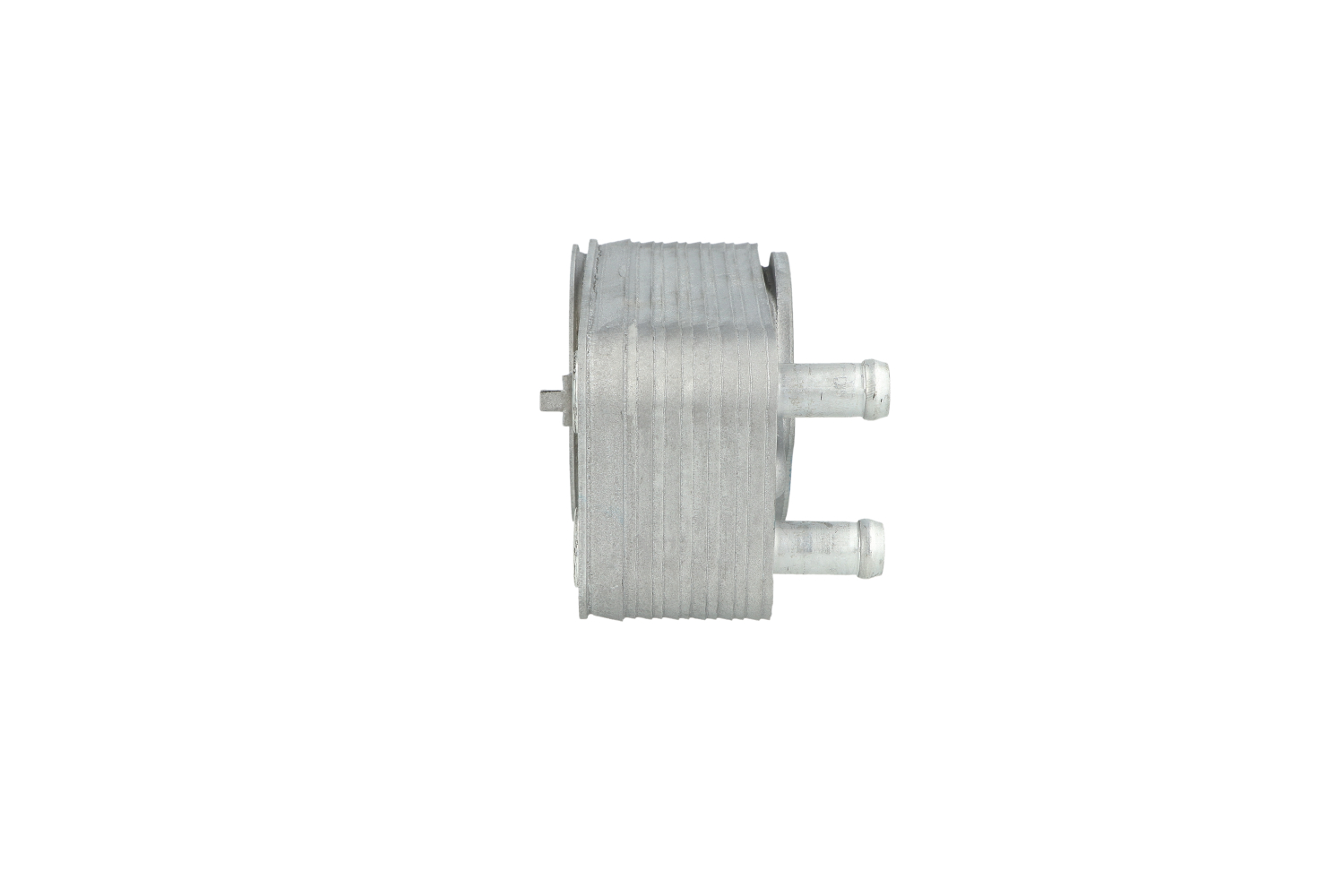 Radiatore olio motore NRF RENAULT CLIO 31886