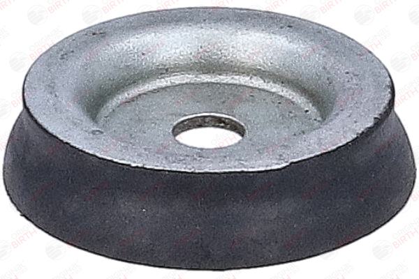 BIRTH 53928 achteras rubber 513162