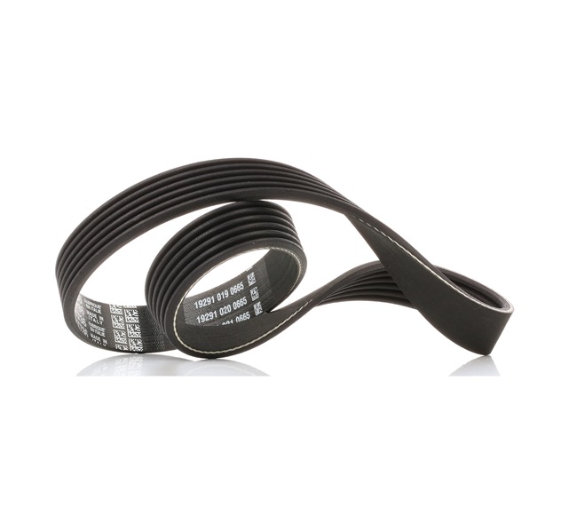 DAYCO 04E145933G Cinghia servizi 6PK736