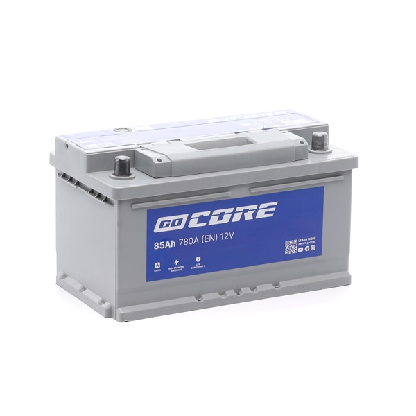 goCORE GCA0013 accu 6121 8376 450