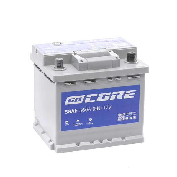 goCORE GCA0018 accu 13 502 368