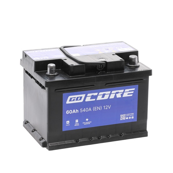 goCORE GCA0019 accu 13390018GH