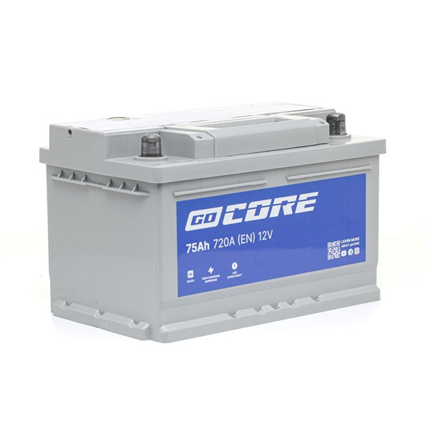 goCORE GCA0022 accu 95 519 699