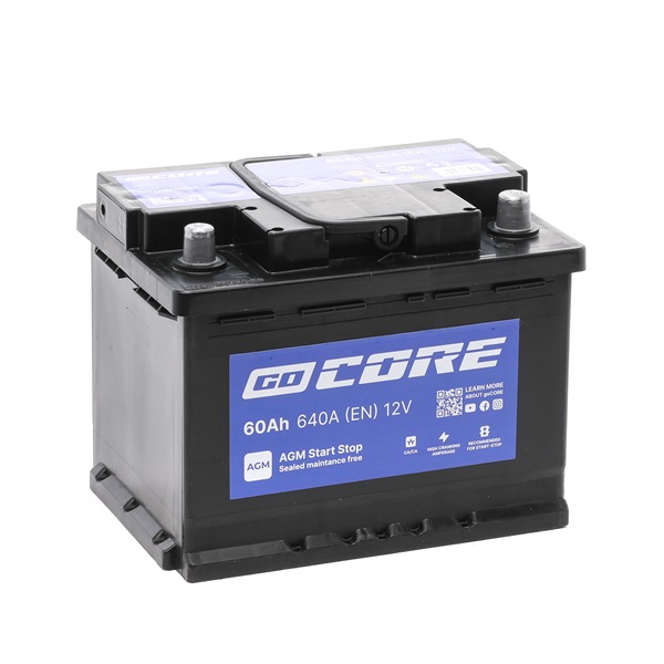 GCA0024 goCORE Starterbatterie Preis