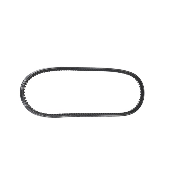 DAYCO 10A0875C Cinghia trapezoidale Maestro XC 1.3 LS 67 CV Benzina 1986