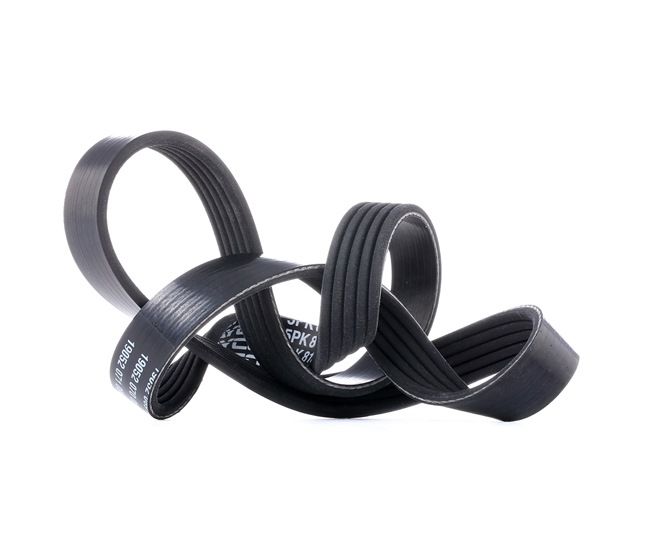 DAYCO %KIND% high quality at dicount prices