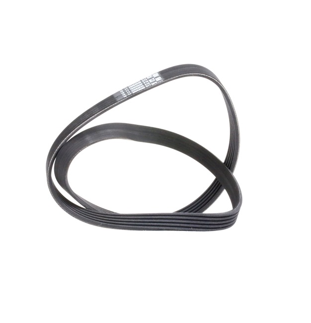 6PK1050S DAYCO multireim pris