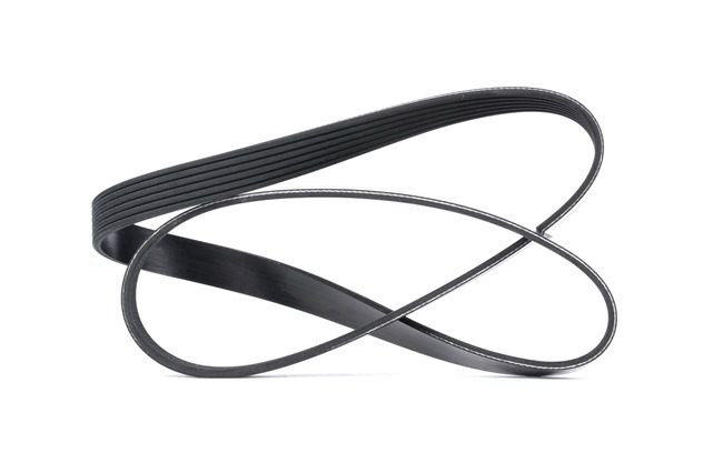 DAYCO 1128 8 613 707 Keilrippenriemen 6PK1155