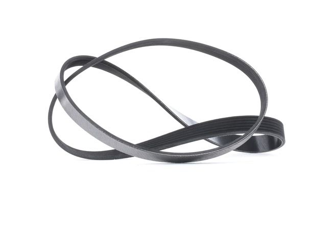MAPCO Correa trapecial poli V 261215 a un precio bajo