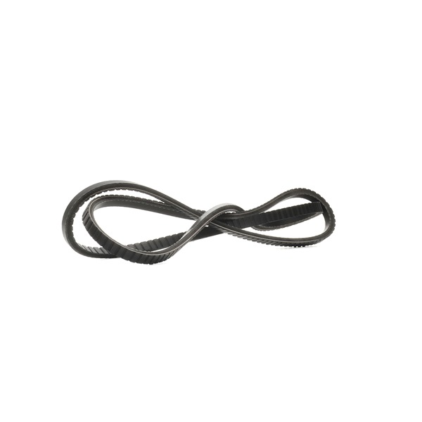 DAYCO 13A1900GL v-riem 120589