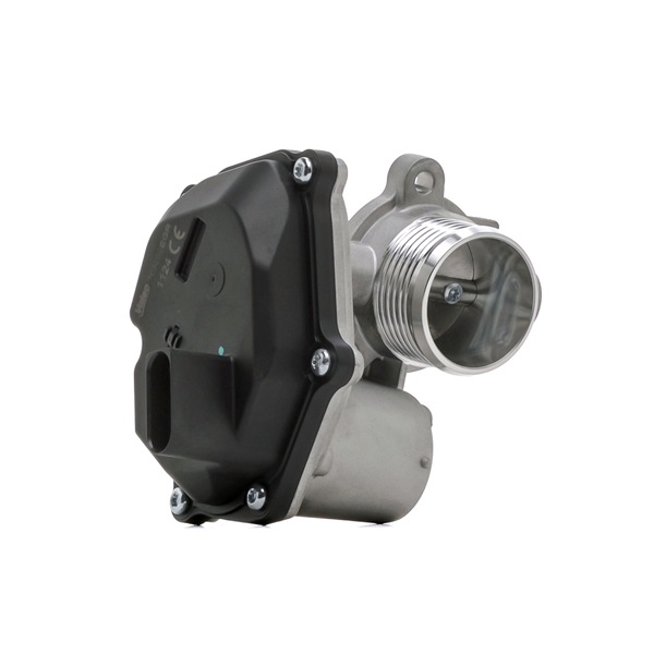 VALEO 703202 AGR Ventil VW Passat B8 3G Limousine 2.0 TDI 184 PS Diesel 2016