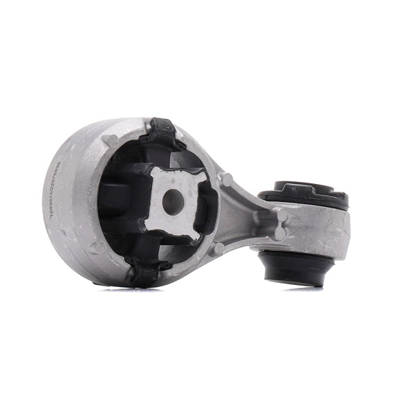 247E1189 RIDEX 11350JY00A Motorlager
