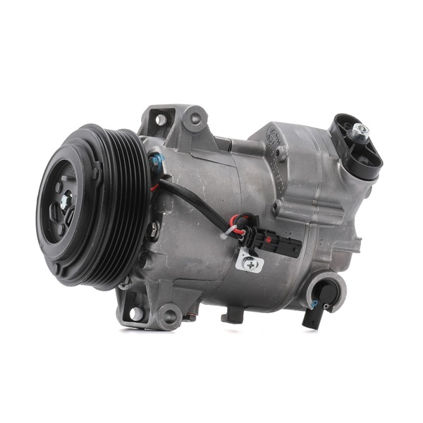RIDEX REMAN 447K0204R aircopomp 13335252
