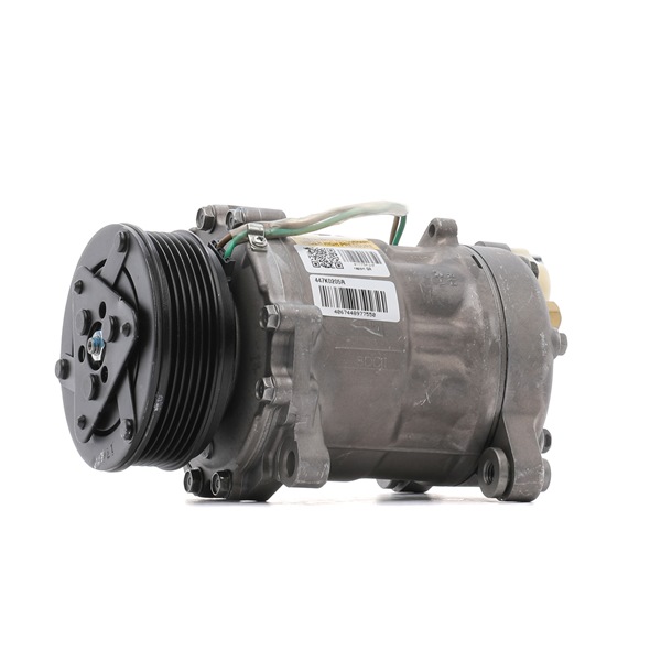 Compressore clima RIDEX REMAN VOLKSWAGEN PASSAT 447K0205R