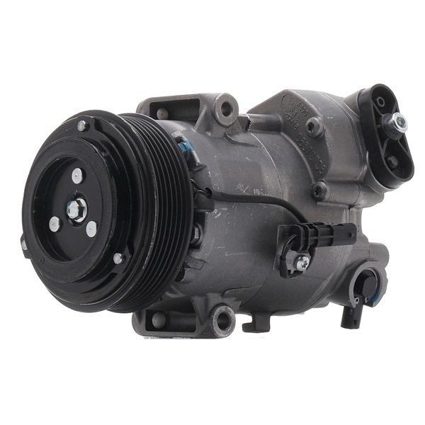 RIDEX REMAN 447K0293R aircopomp 13 34 6492