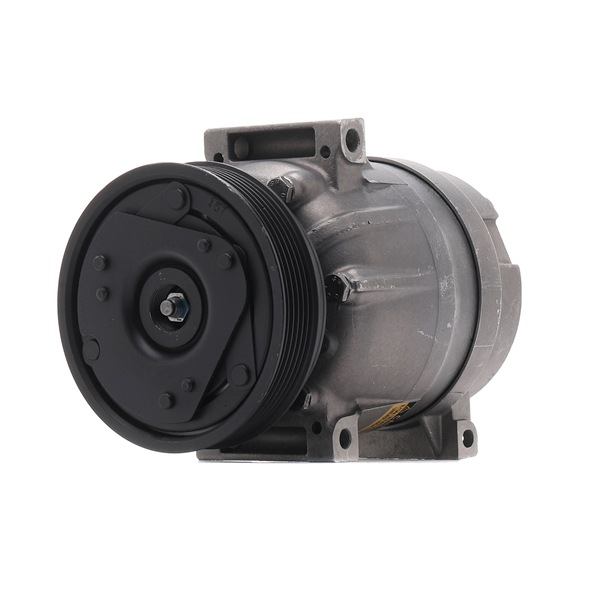 RIDEX REMAN 447K0181R Aircopomp Renault Megane Scenic 1.6 i 75 Pk Benzine 1999