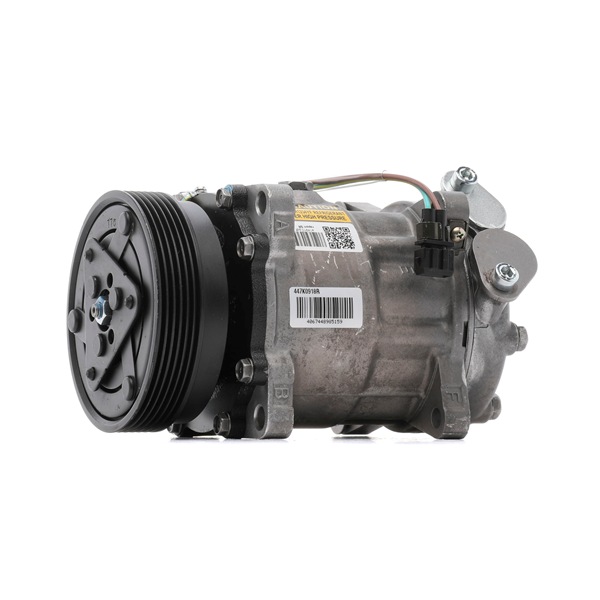 RIDEX REMAN 447K0918R Kompresorius / dalys VW Multivan T5 1.9 TDI 102 AG dyzelinas 2006