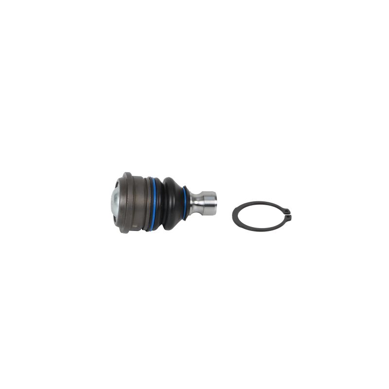 DELPHI TC8549 qualité haut de gamme et prix abordables
