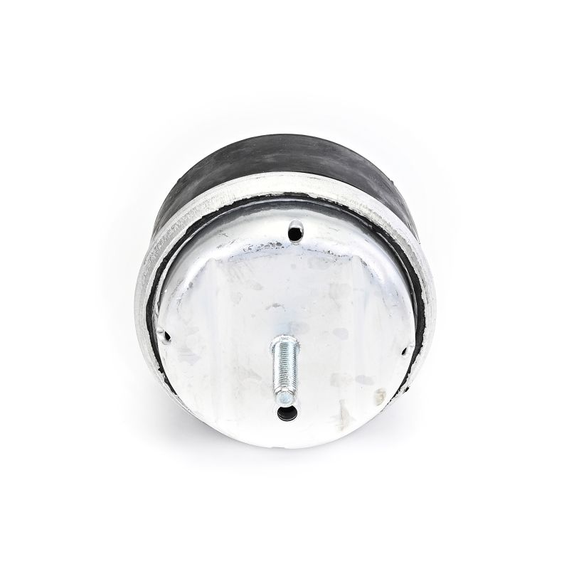 DELPHI TEM239 motorfeste Passat 3B6 1.8 T 170 hk Bensin 2004