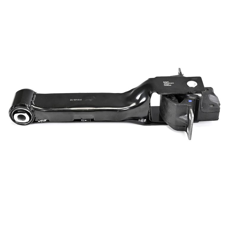 DELPHI TEM243 motorsteunlager 3C116P082AC