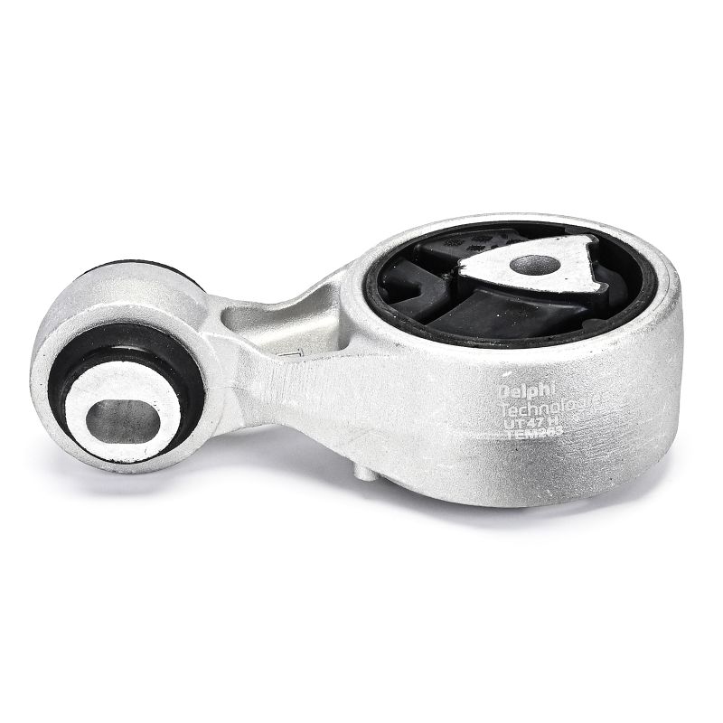 TEM263 DELPHI 8200355673 Motorlager