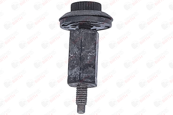 BIRTH 013709 Butée élastique, cache moteur 80969