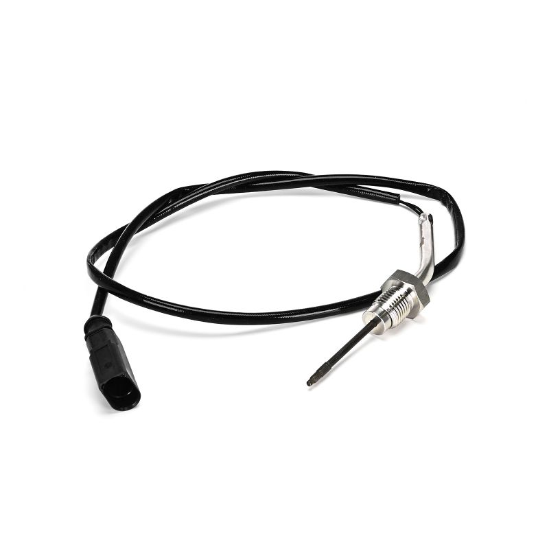 DELPHI TS30383-12B1 Temperatuursensor VW T6 Flatbed Vrachtwagen 2.0 TDI 204 Pk Diesel 2024