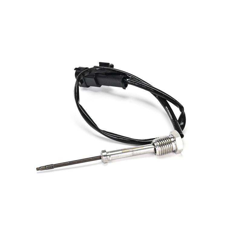 Temperatuursensor DELPHI FIAT DUCATO TS30418-12B1