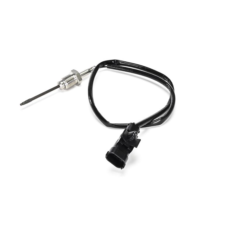 Temperatuursensor DELPHI FIAT DUCATO TS30419-12B1