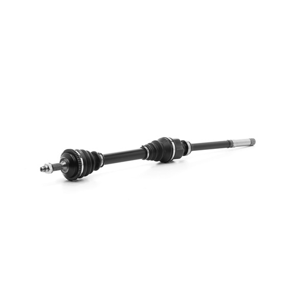 RIDEX REMAN 13D1313R A-kwaliteit en eerlijke prijzen