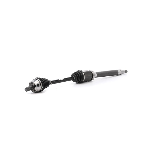 RIDEX REMAN 13D1520R qualité et prix abordables