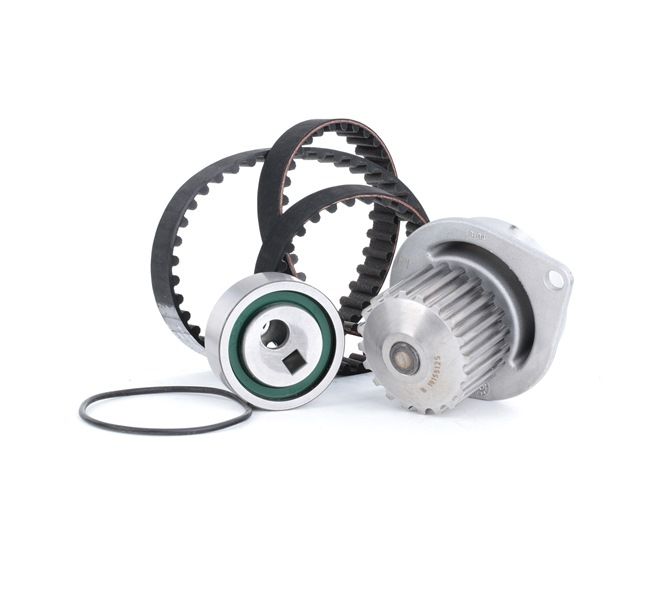 INA 530 0252 30 Bomba de água + kit de distribuição Citroen AX ZA 1.4 GTi 90 cv Gasolina 1994