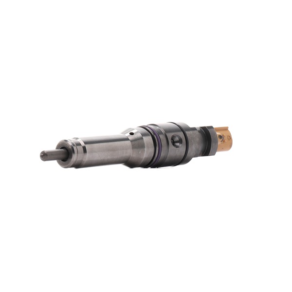 RIDEX REMAN 3902I1292R Μπεκ ψεκασμού DAF 55 Combi