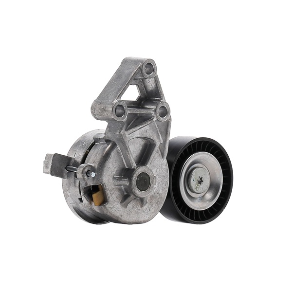 FEBI BILSTEIN Tendicinghia Poly-V 19487 – Compatibile Opel, Saab E Altri (Qualità OE)