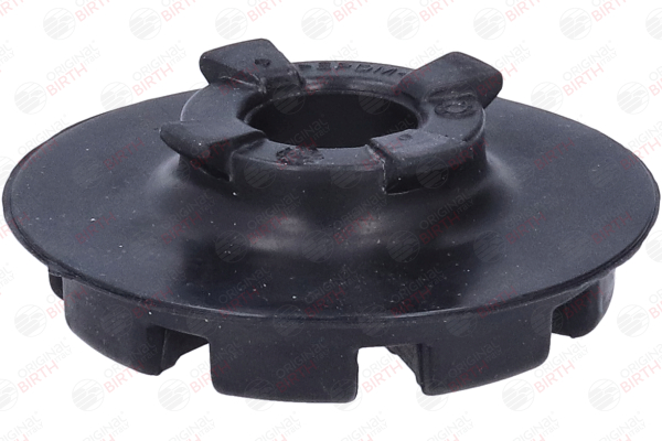 BIRTH 8200 218 906 Patin de ressort 56763