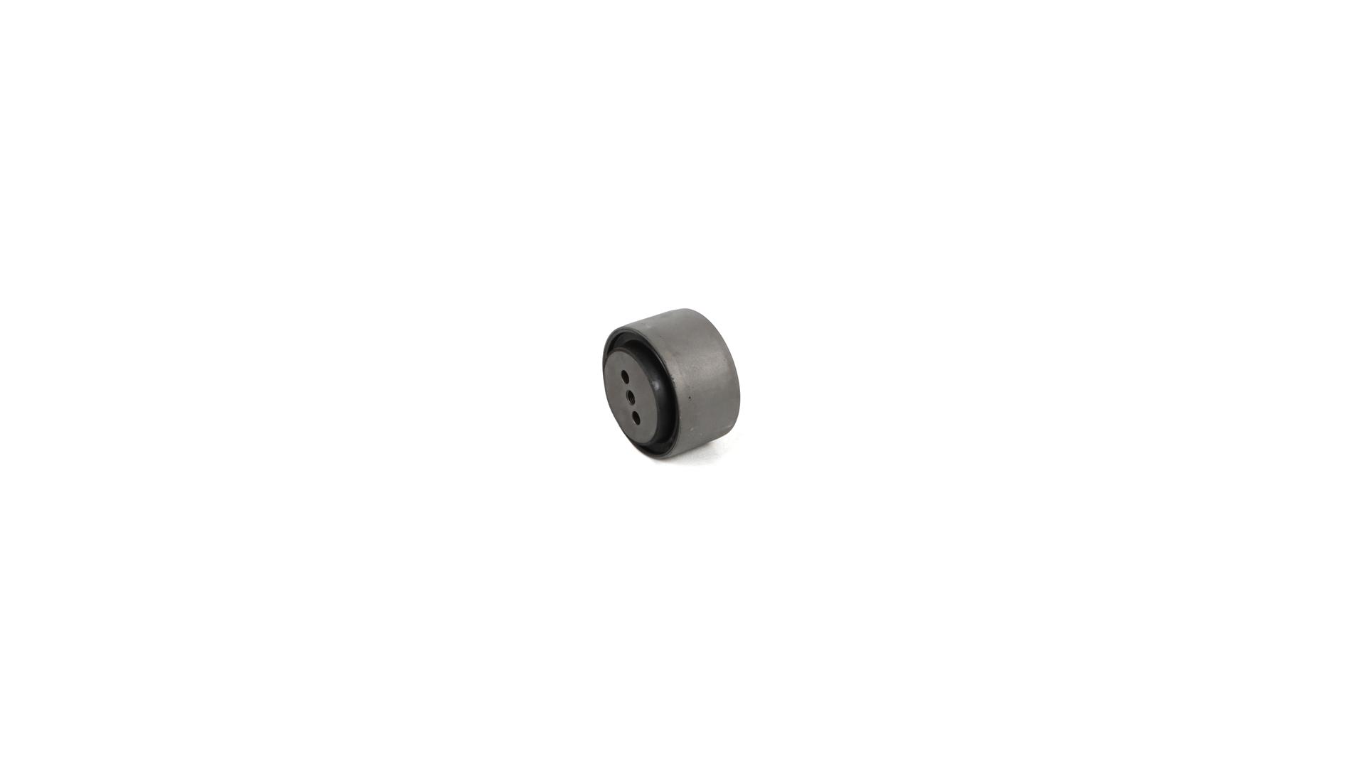 VKDCV 09066 SKF 20554908 Lagerbuchse, Stabilisator