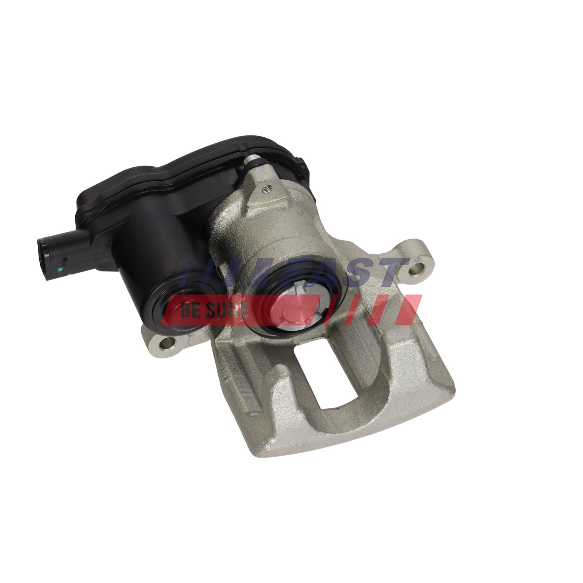 FAST LR027126. Jarrusatula FT02701