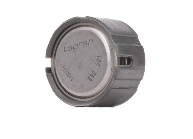 Ausrücklager 100 069 TOPRAN Ausrücklager Kosten