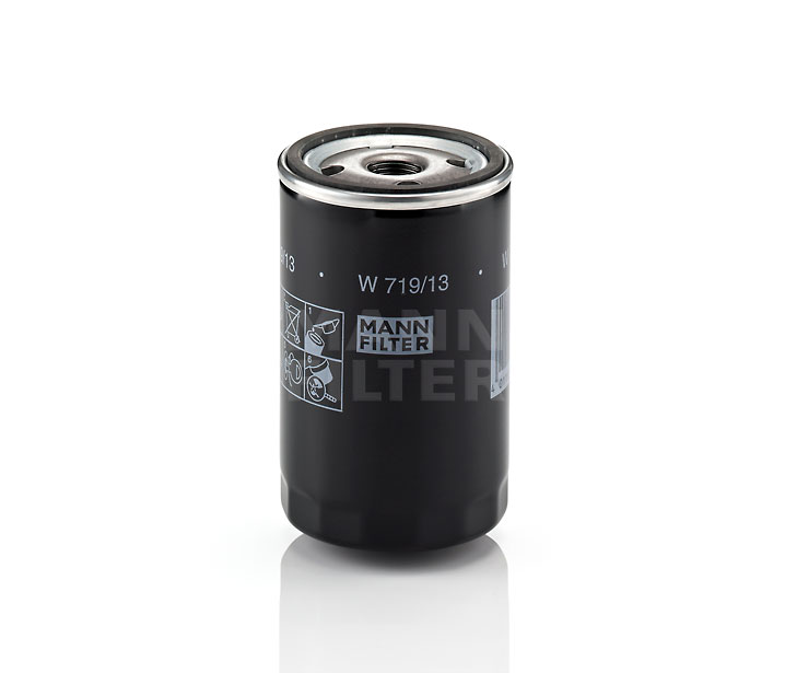 MANN-FILTER W 719/13 (10) qualité et prix abordables