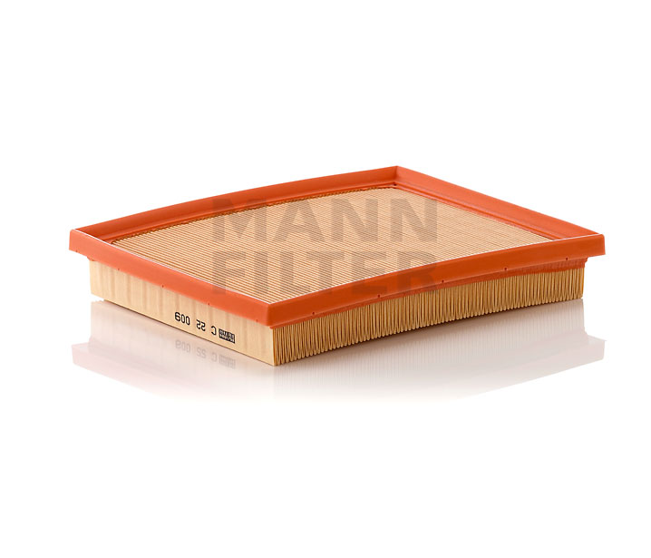 MANN-FILTER C 22 009 LEXUS Ilmansuodatin