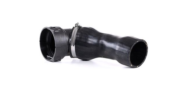 THERMOTEC DCB017TT Calidad y precios justos